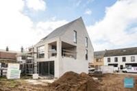 Project Katstraat - hartje Lede 8