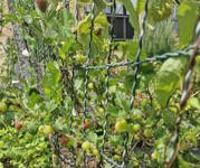 Rustig gelegen HOB met mooi uitzicht ! 27